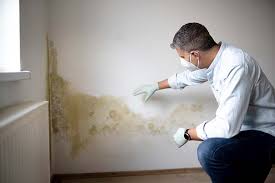 Trusted Gold Canyon, AZ Mold Remediation Experts